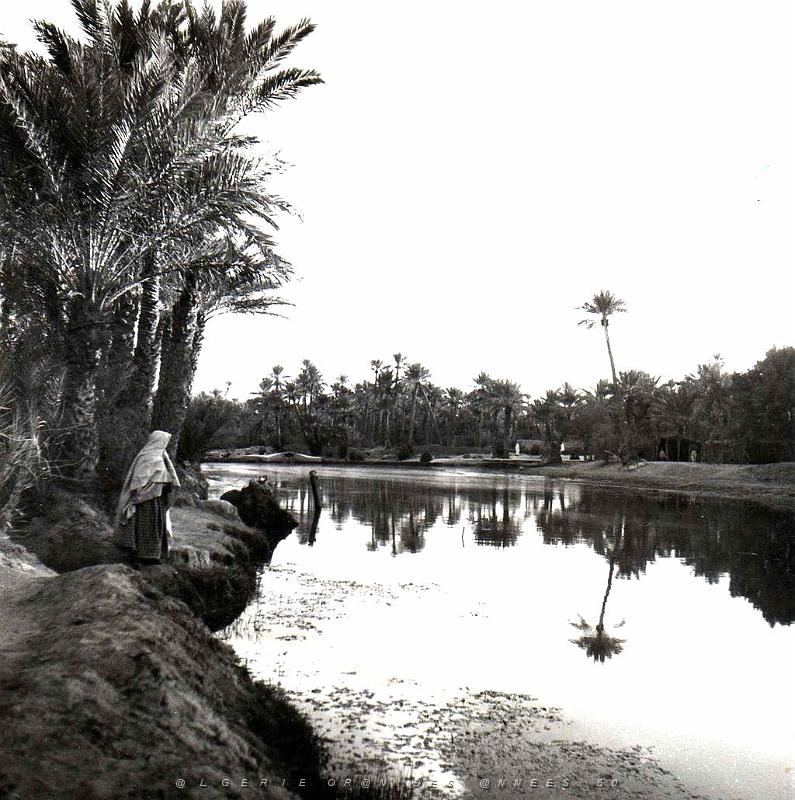 Colomb Bechar 041-collection Monneret.jpg